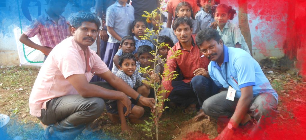 Plant A Tree